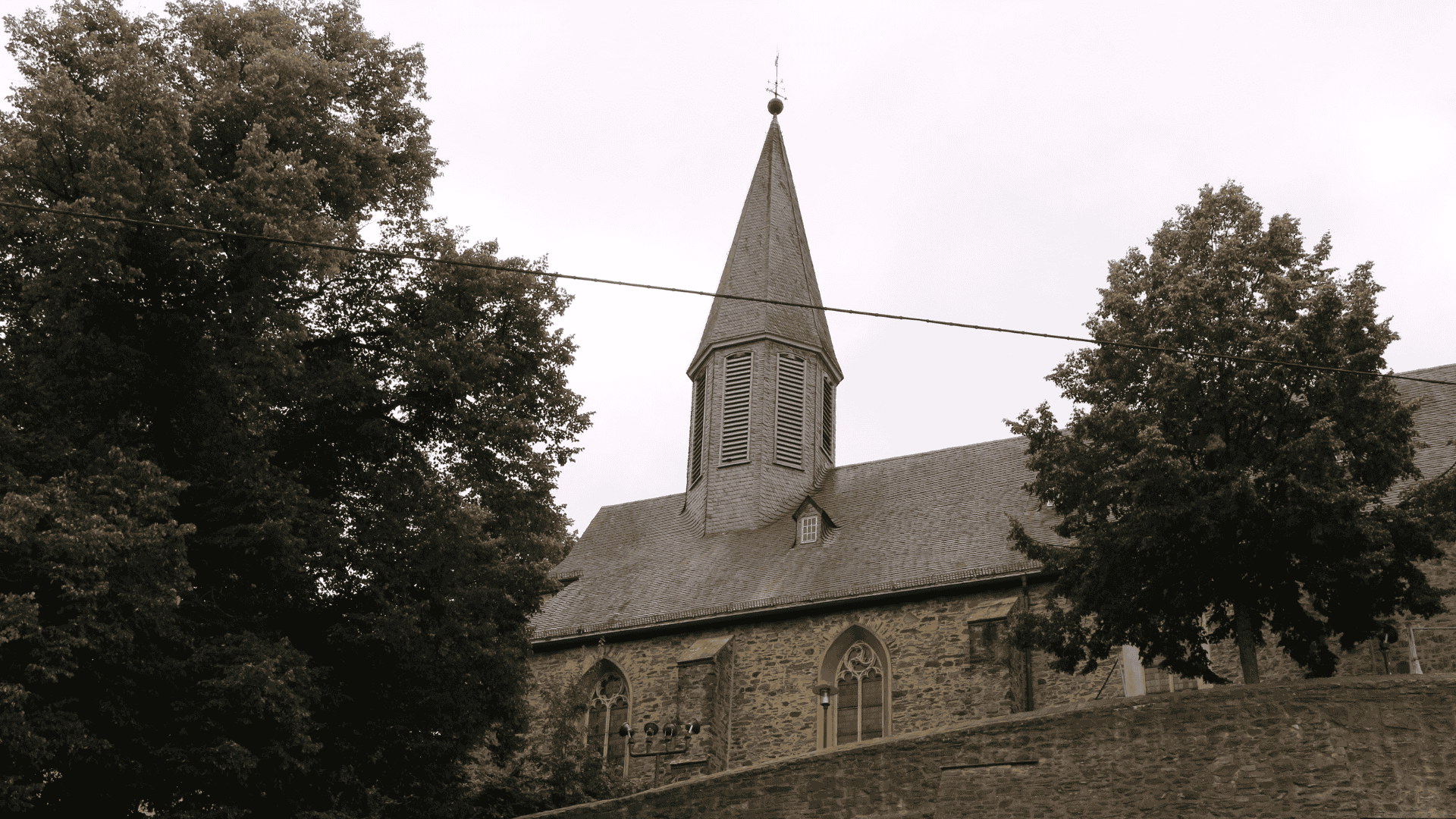 Raumbegrünung in Siegen – Mooswände, Hydrokultur & Büropflanzen