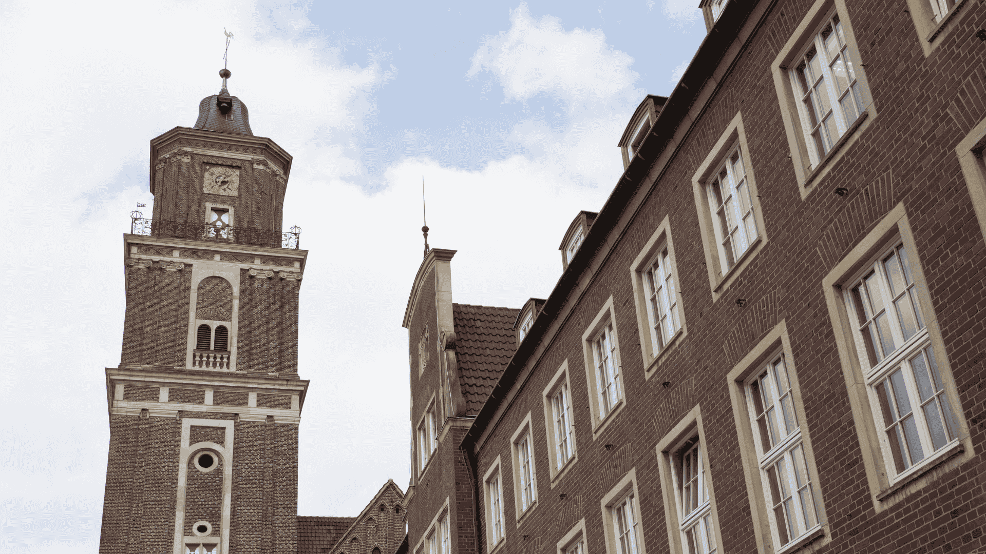 Mooswände und Büropflanzen in Coesfeld