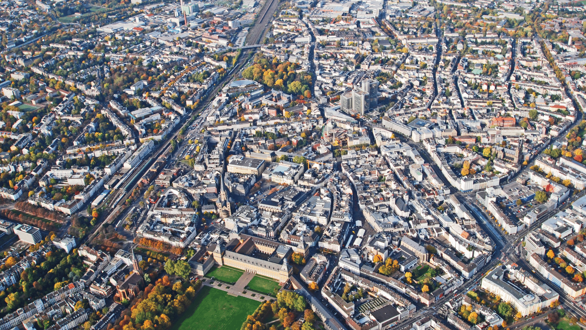 Raumbegrünung in Bonn – Mooswände, Hydrokultur und Büropflanzen