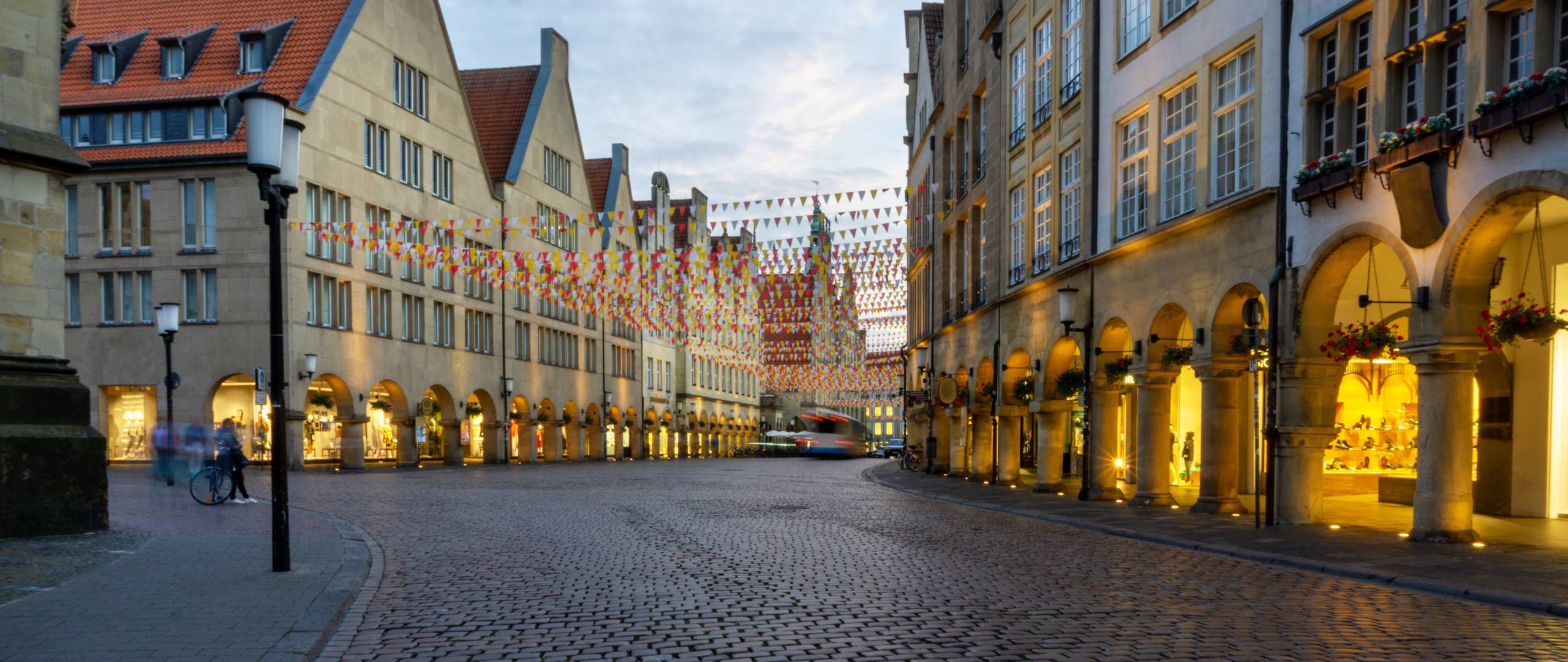 Raumbegrünung in Münster – Mooswände, Hydrokultur und Büropflanzen