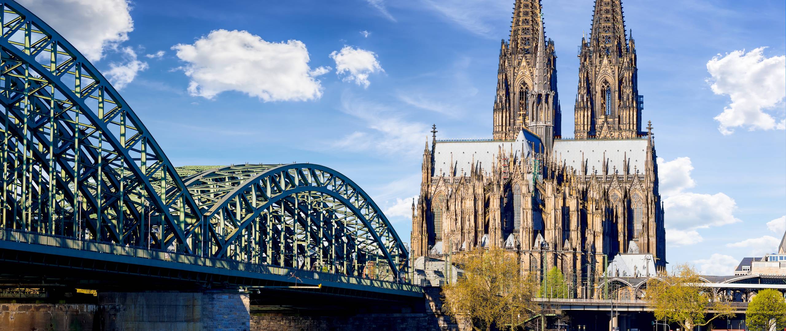 Raumbegrünung in Köln – Mooswände, Hydrokultur und Büropflanzen