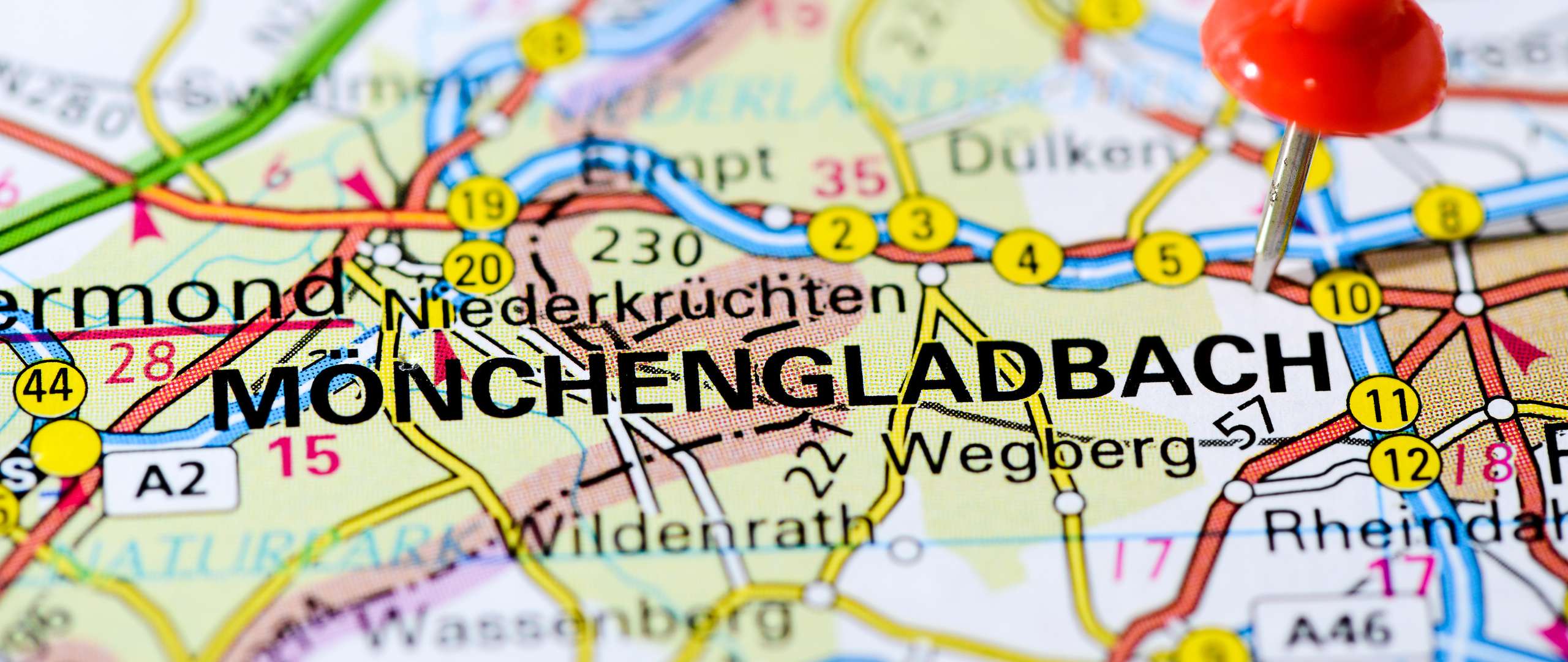 Raumbegrünung in Mönchengladbach – Mooswände, Hydrokultur und Büropflanzen