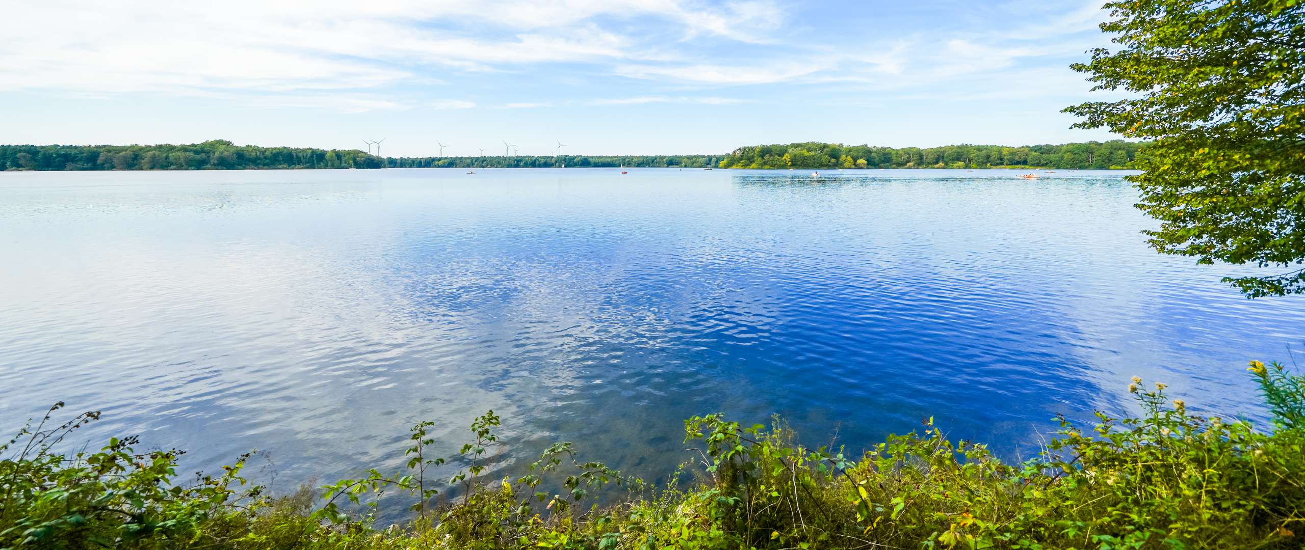 Raumbegrünung in Haltern am See – Mooswände, Hydrokultur & Büropflanzen