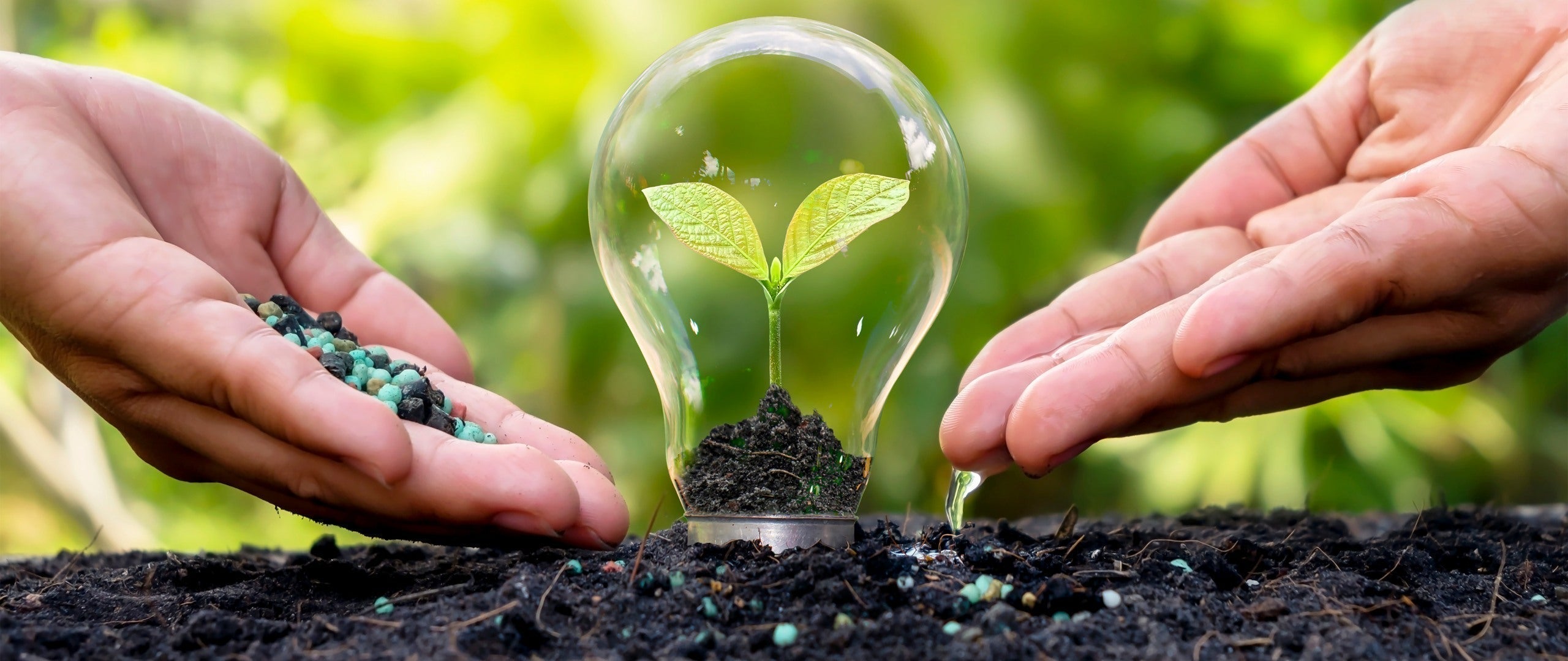 Hydrokultur Dünger - WELO Green