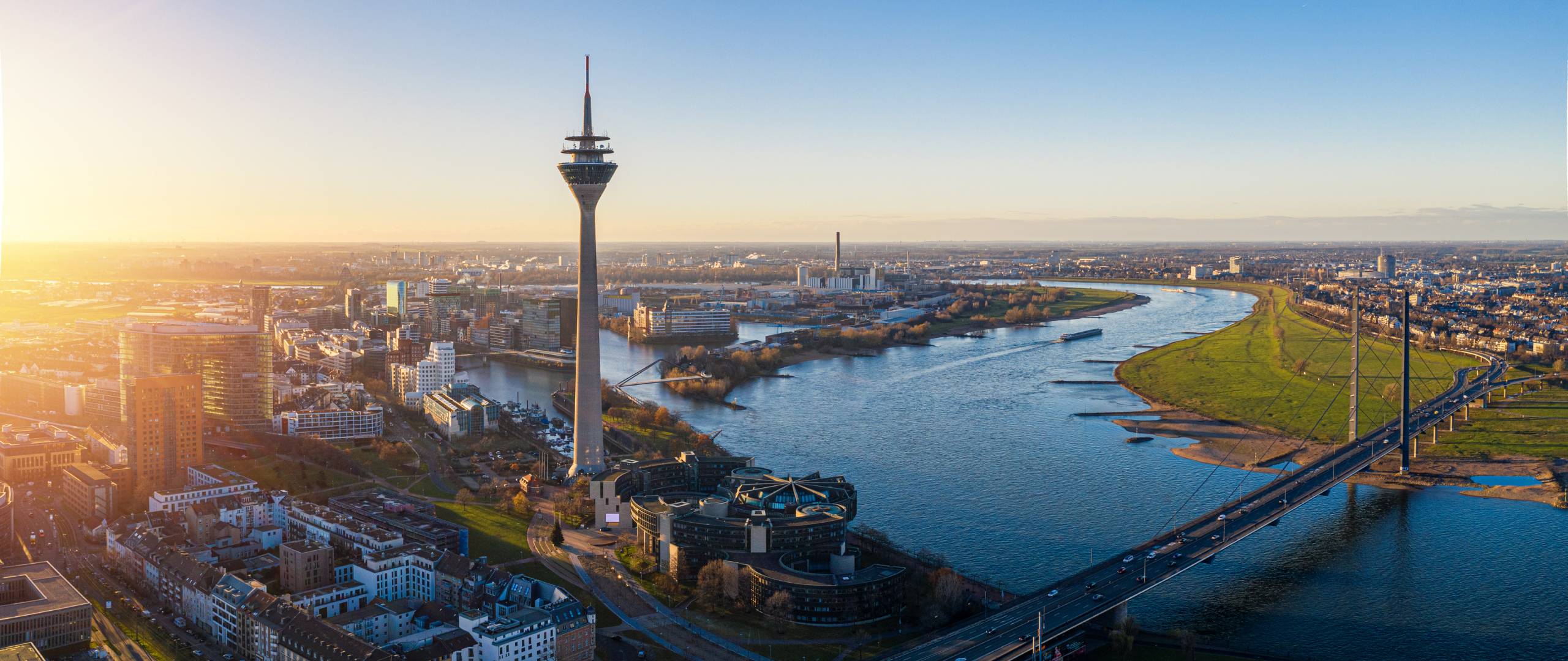 Mooswände und Büropflanzen in Düsseldorf