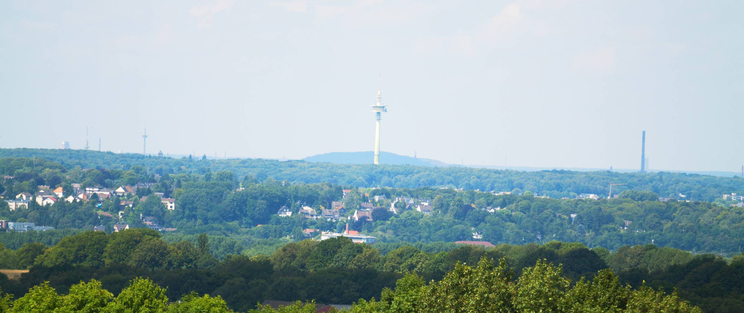 Raumbegrünung in Mülheim – Mooswände, Hydrokultur und Büropflanzen