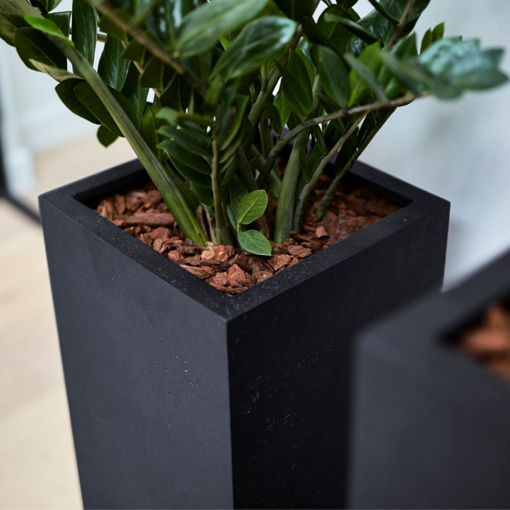 Pflanzgefäß - Concrete Kollektion