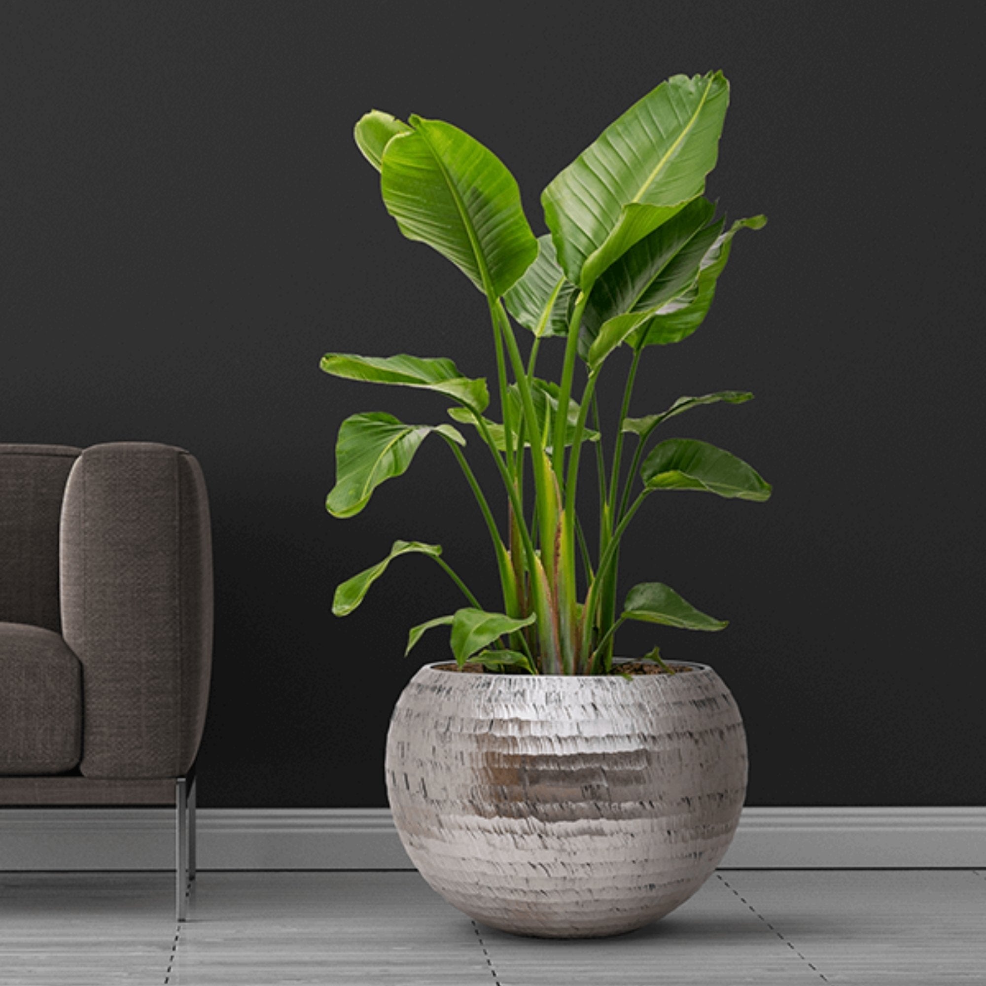 Pflanzgefäß - Chrome Kollektion