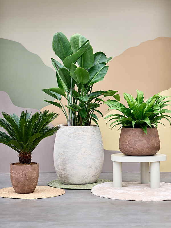 Pflanzgefäß - WELO Algar