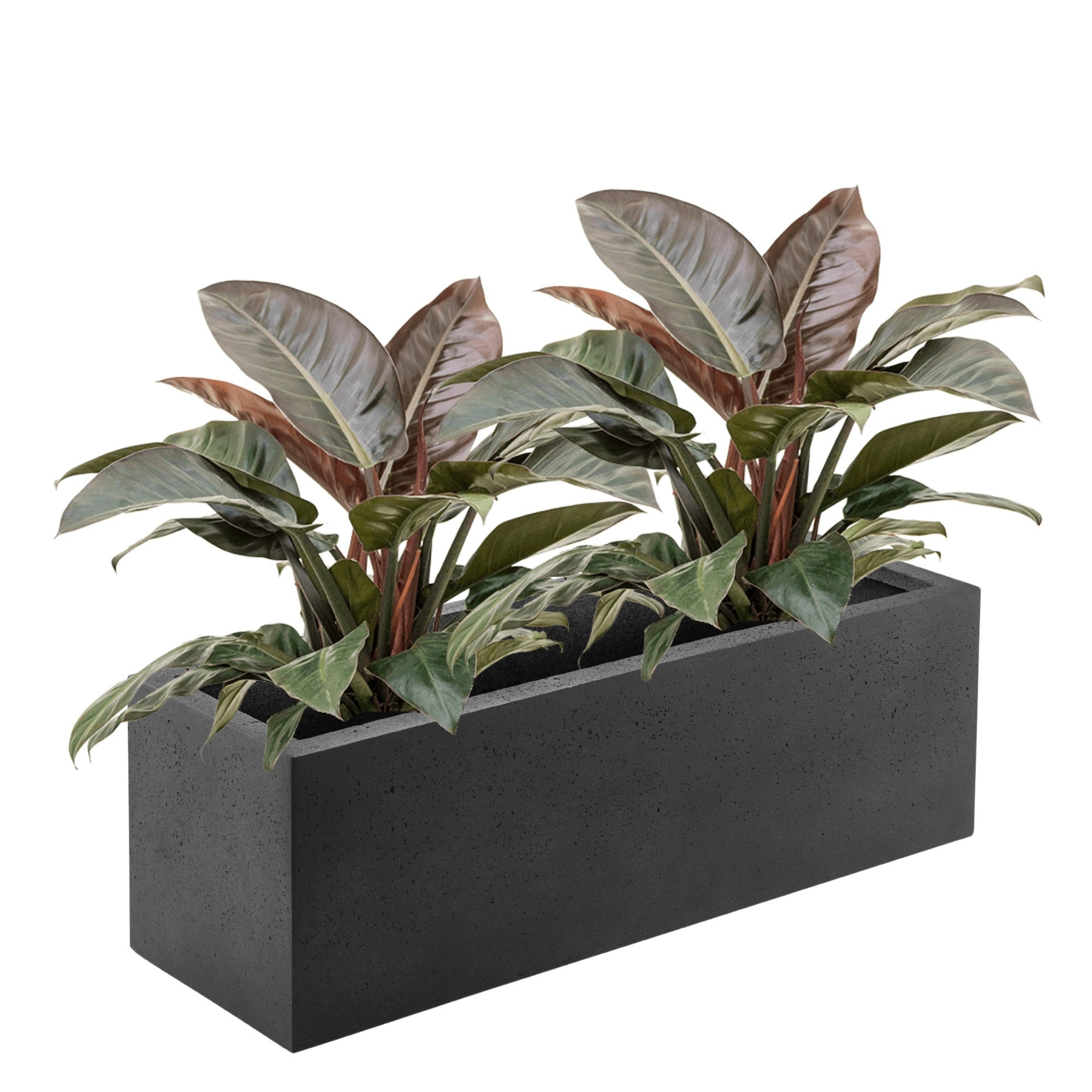 Concrete Box
