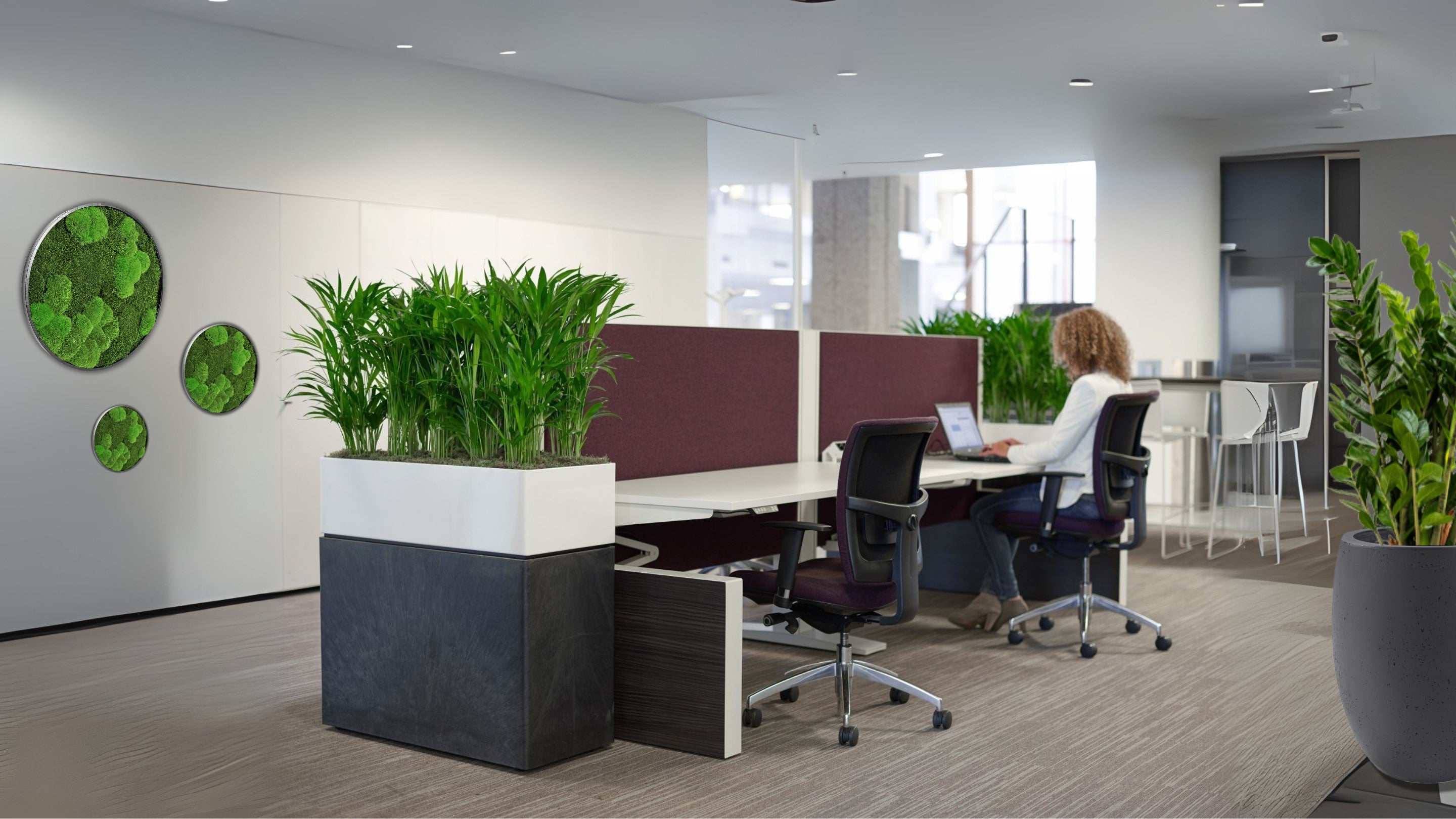 Moderne Bürooptik – Raumgestaltung mit Büropflanzen und Moosbildern