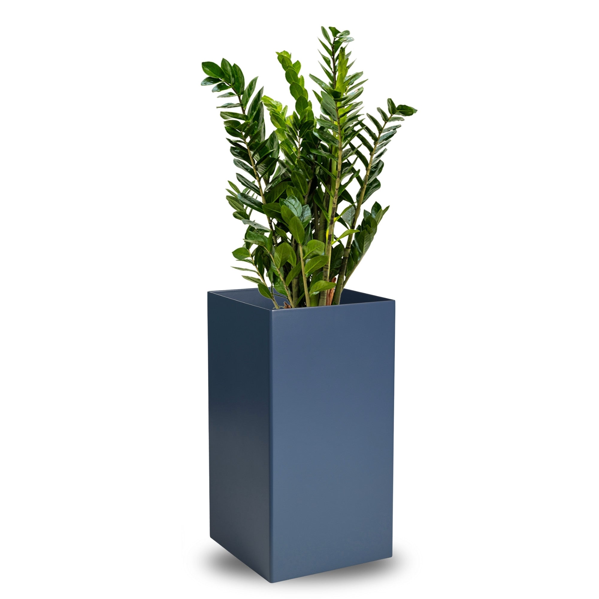 Custom High Cube