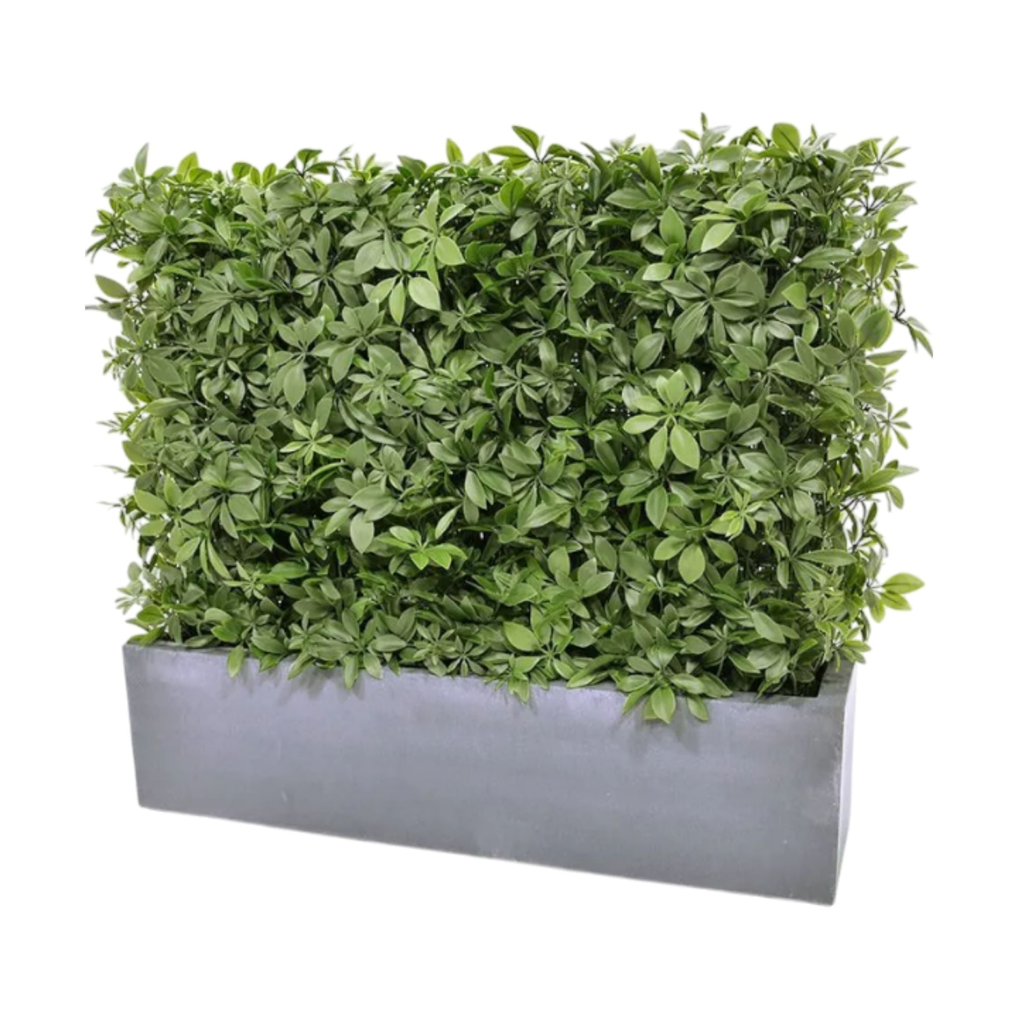 WELO Kunstpflanzenhecke - Schefflera