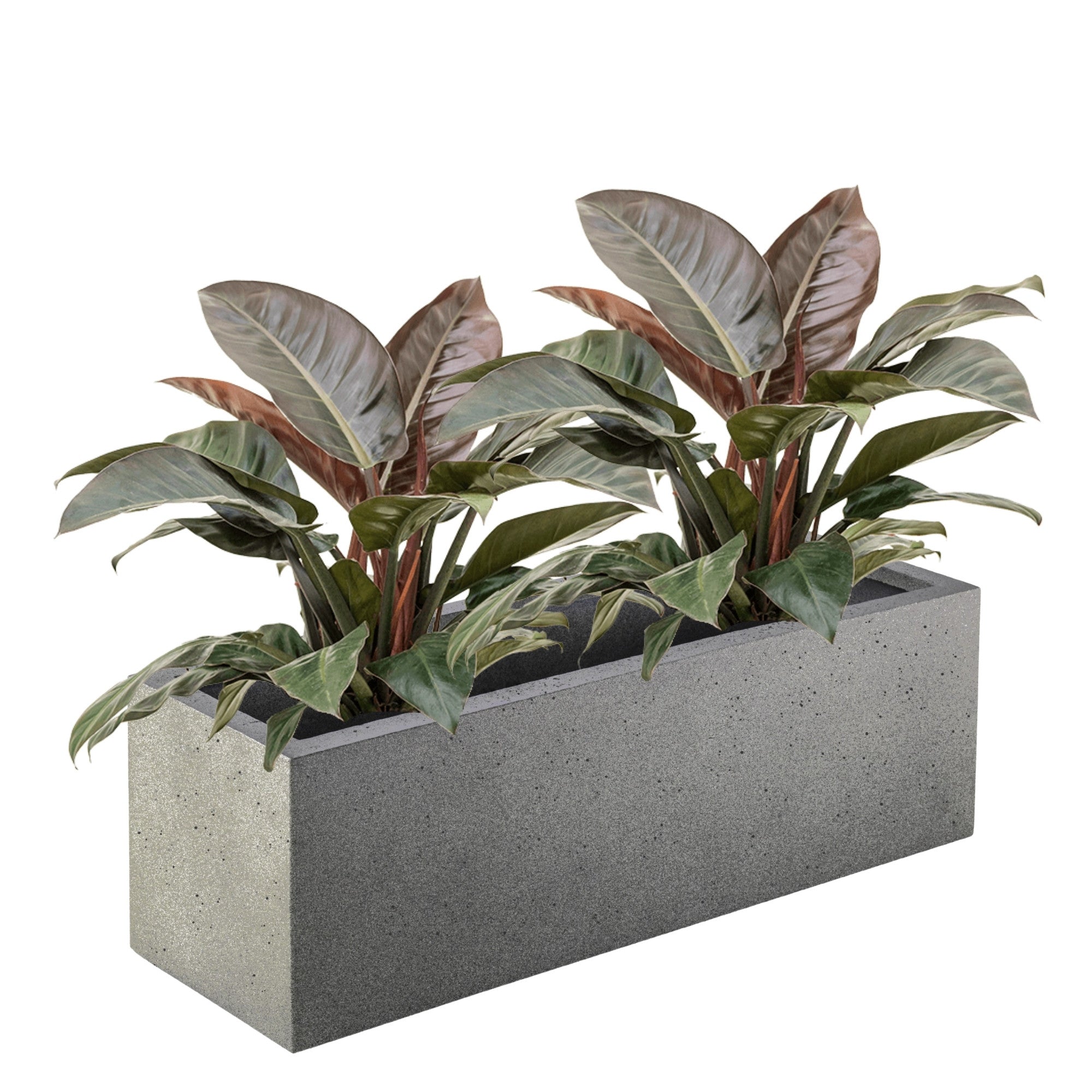 Concrete Box
