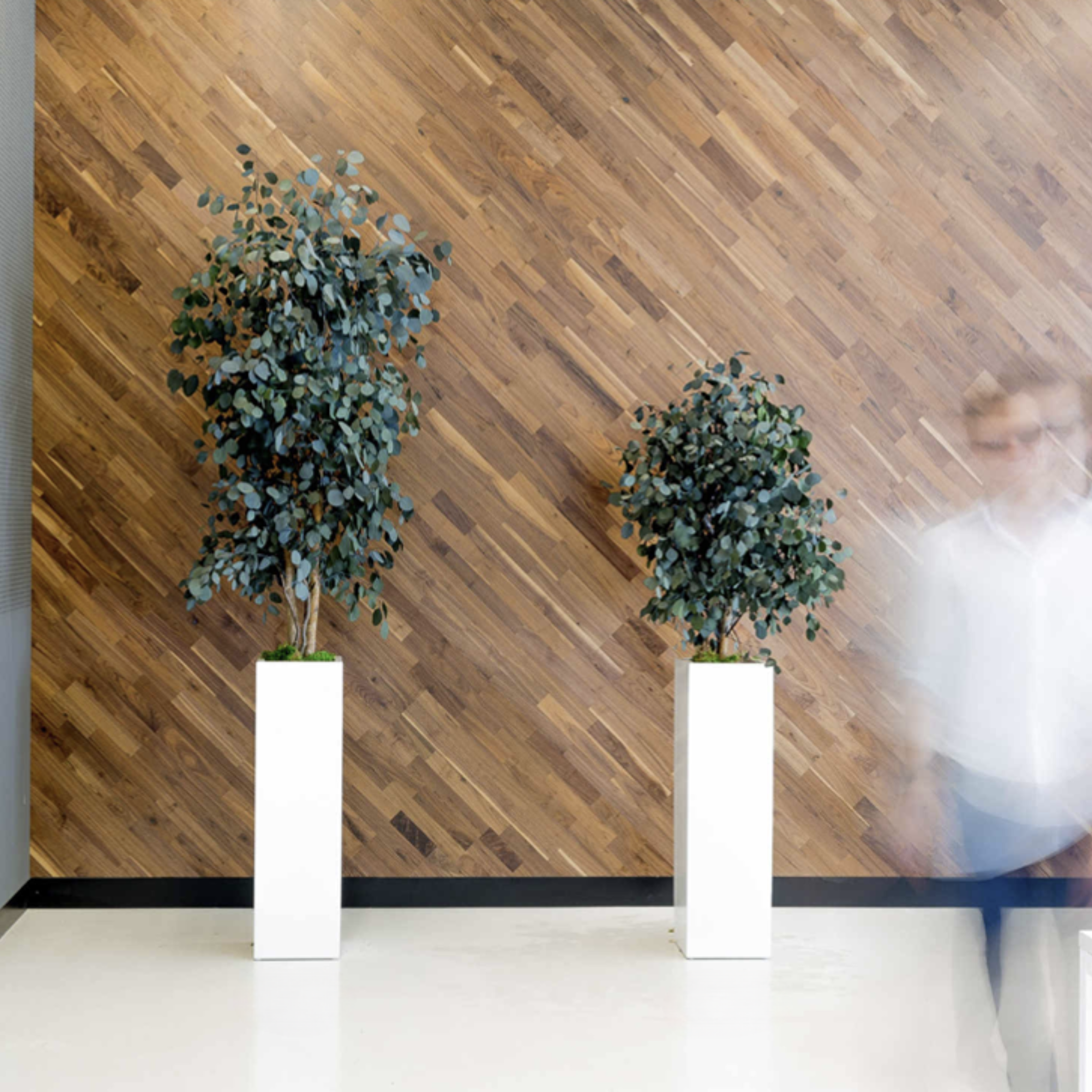 Konservierte Pflanzen – echte Natur, pflegefrei und langlebig für Büro & Empfang