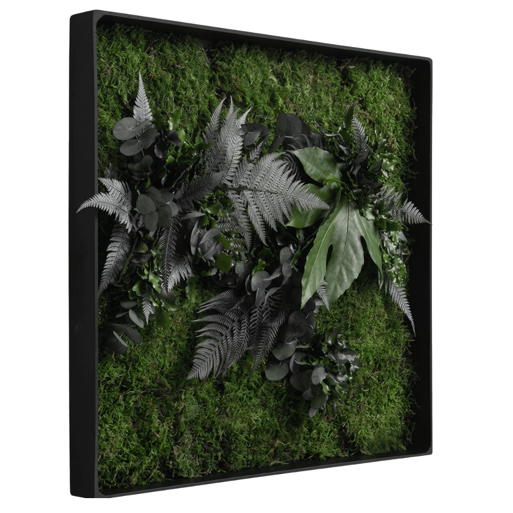 Moosbild / Mooswand - Jungle-Moos