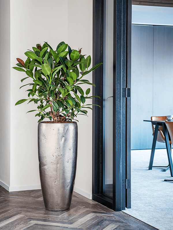 WELO Chrome Vase