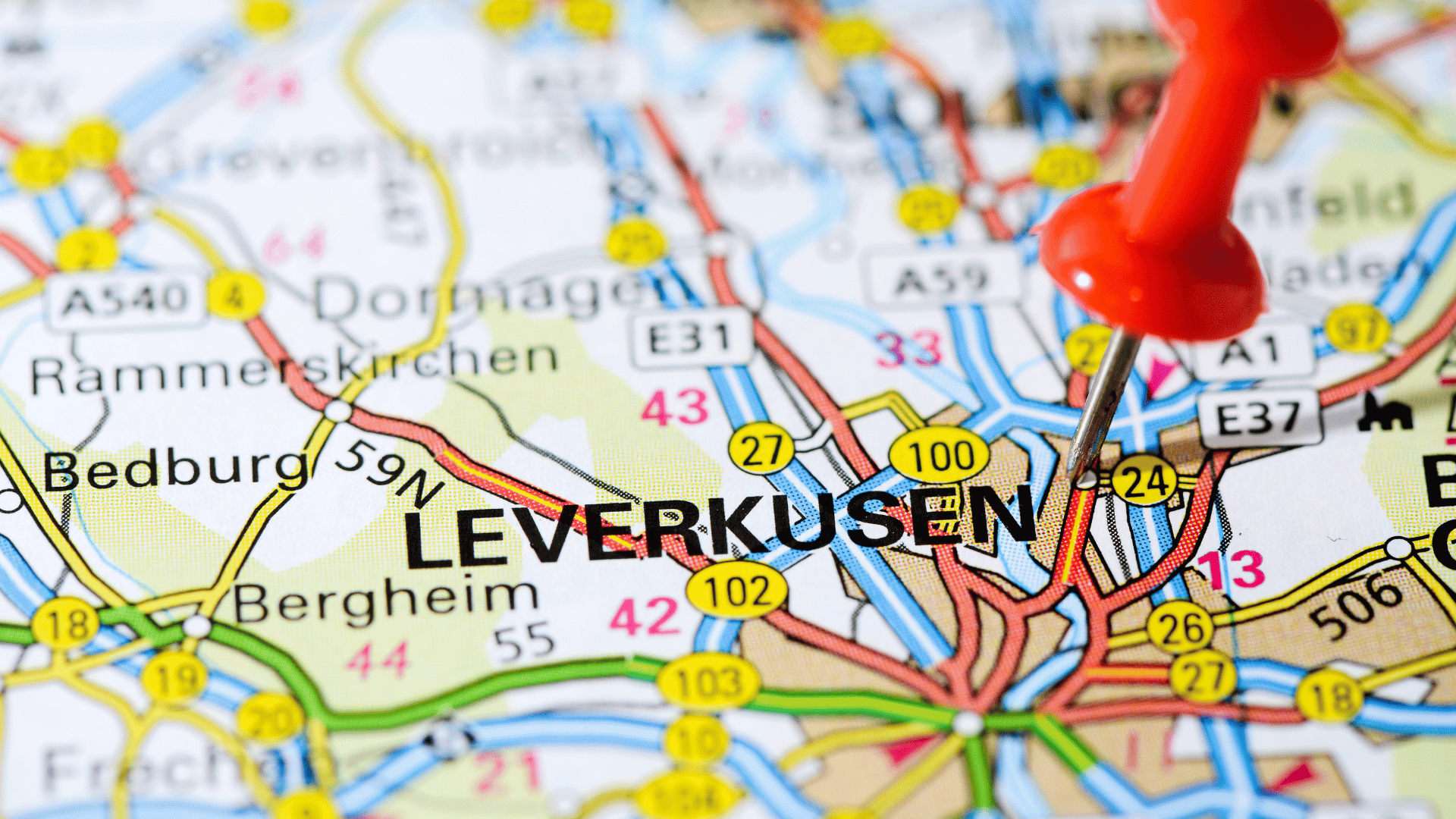 🌿 Raumbegrünung in Leverkusen – Mooswände, Hydrokultur & Büropflanzen für moderne Arbeitswelten