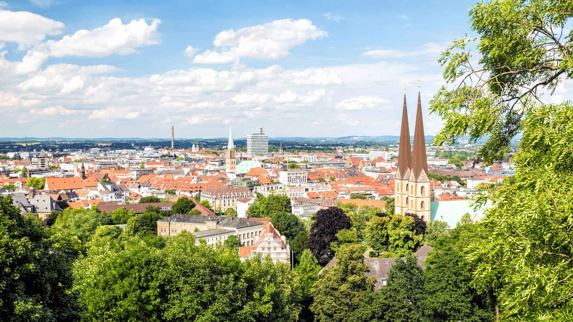 Raumbegrünung in Bielefeld – Mooswände, Hydrokultur und Büropflanzen