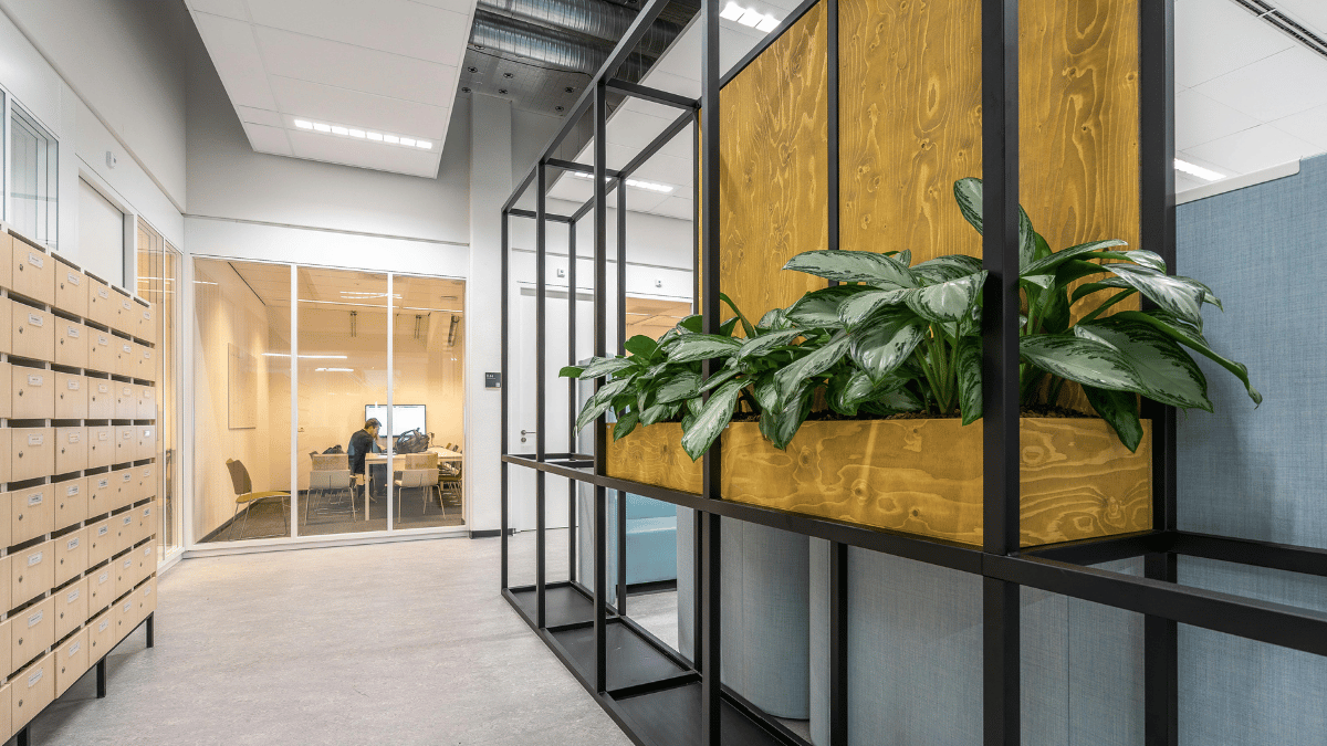 Büropflanzen mieten – flexible Raumbegrünung mit Service und Garantie