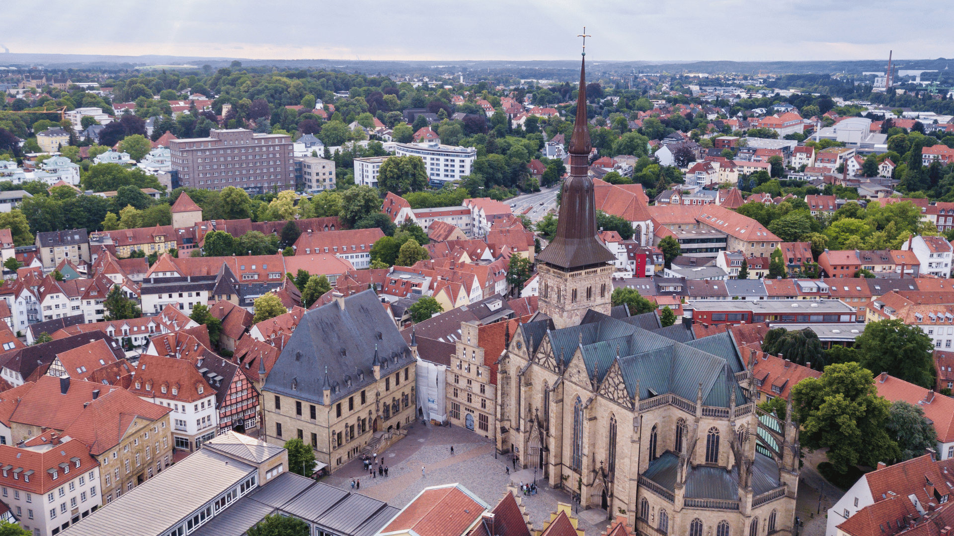 🌿 Raumbegrünung in Osnabrück – Mooswände, Hydrokultur & Büropflanzen für inspirierende Arbeitswelten