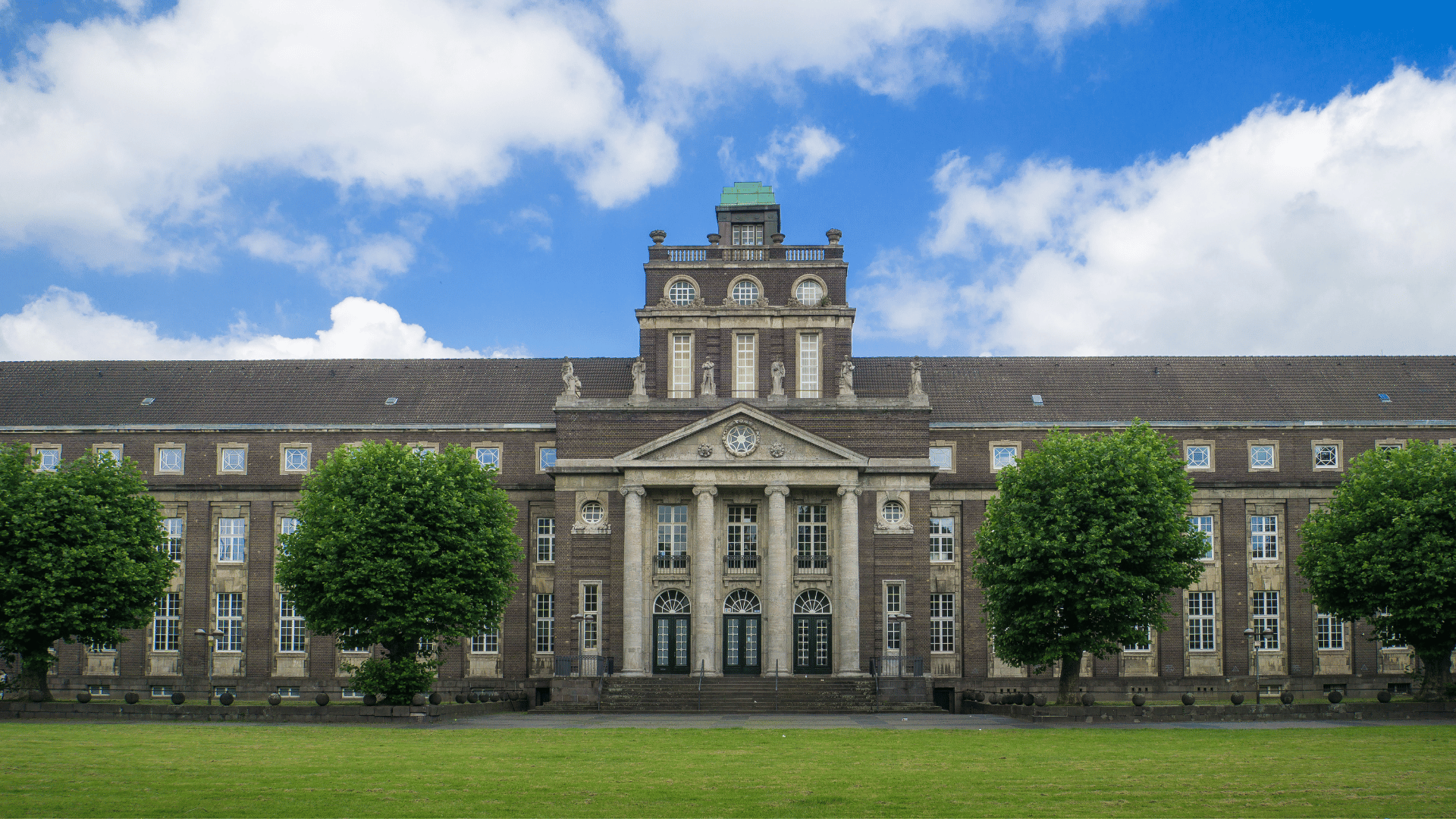🌿 Raumbegrünung in Krefeld – Mooswände, Hydrokultur & Büropflanzen für moderne Arbeitswelten