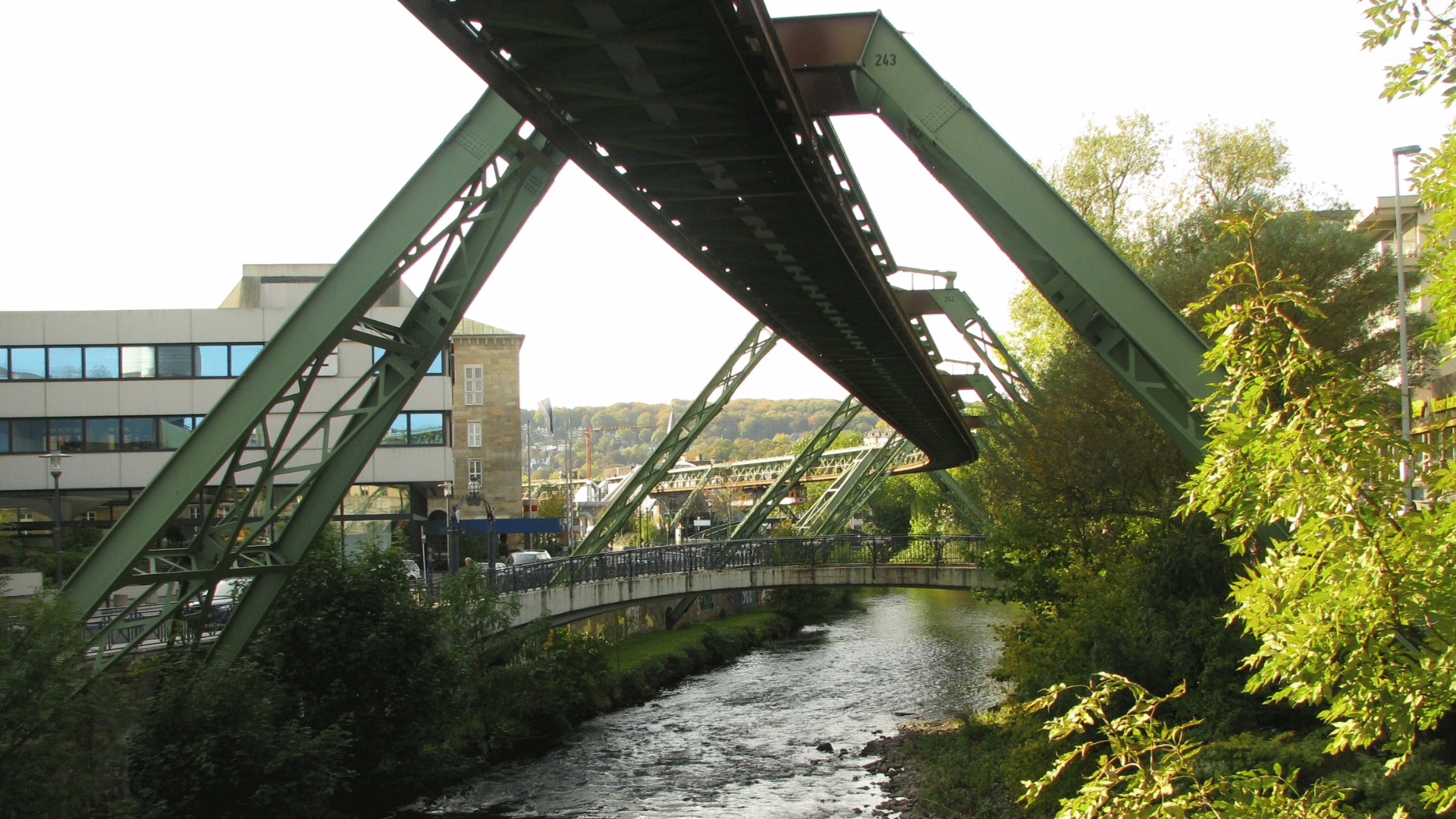 Raumbegrünung in Wuppertal – Mooswände, Hydrokultur und Büropflanzen
