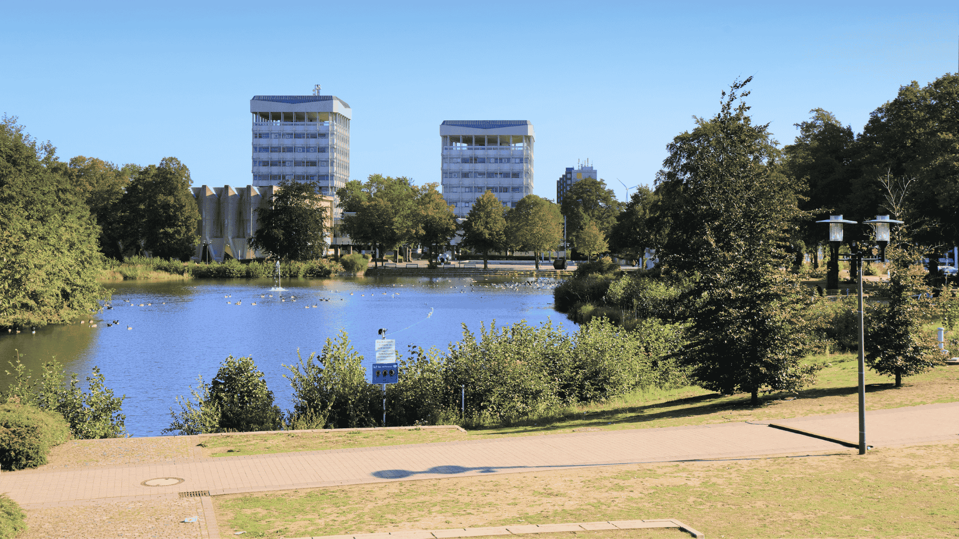 Raumbegrünung in Marl – Mooswände, Hydrokultur & Büropflanzen