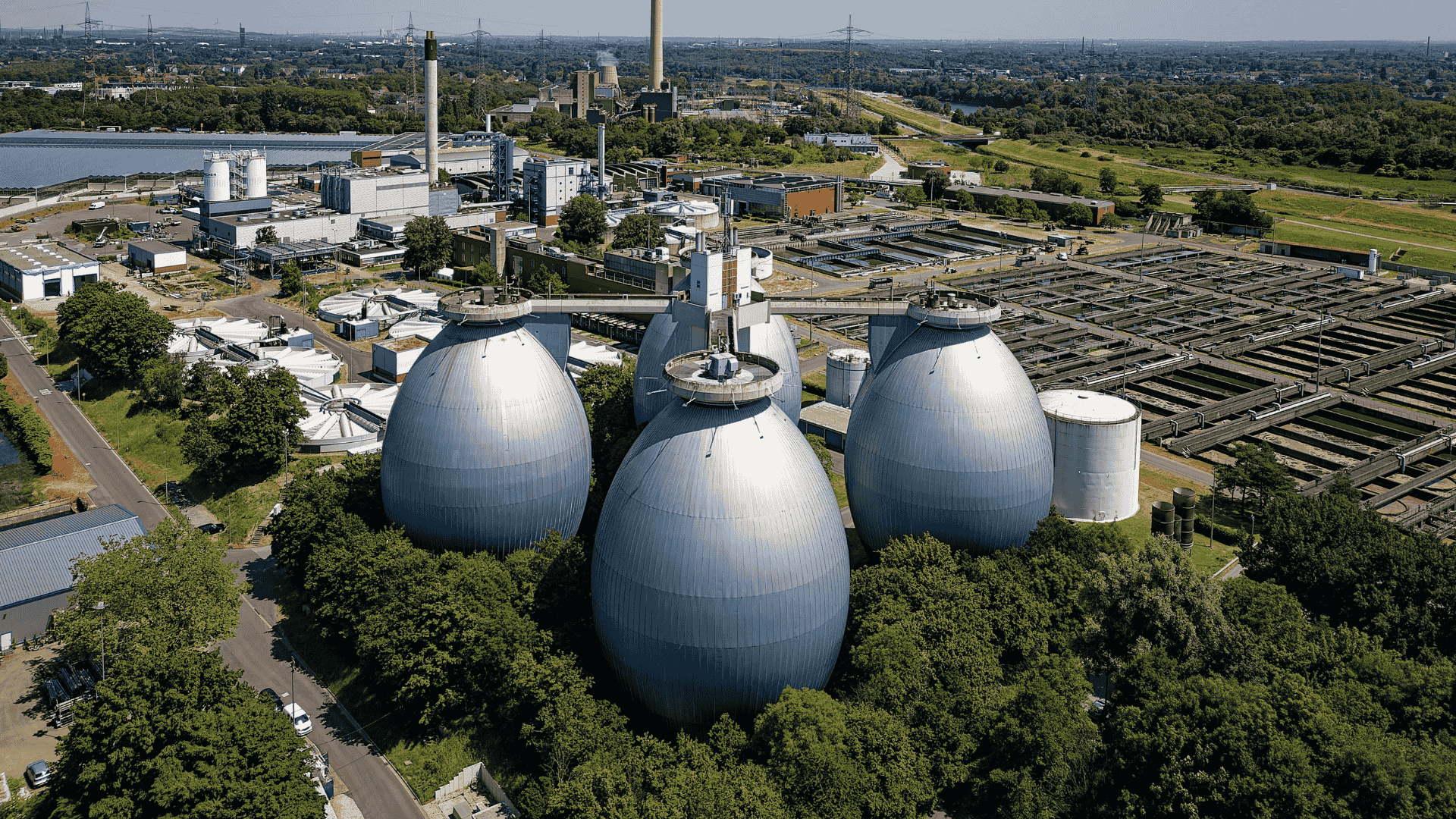 Raumbegrünung in Bottrop – Mooswände, Hydrokultur & Büropflanzen