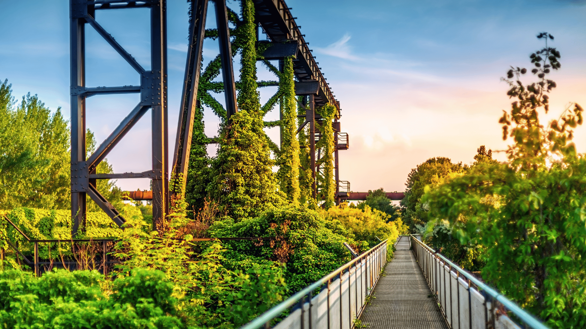 🌿 Raumbegrünung in Duisburg – Mooswände, Hydrokultur & Büropflanzen für moderne Arbeitswelten