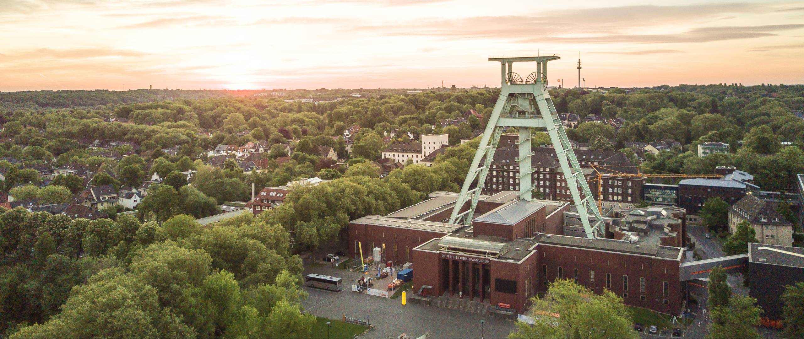 🌿 Raumbegrünung in Bochum – Mooswände, Hydrokultur & Büropflanzen für moderne Arbeitswelten