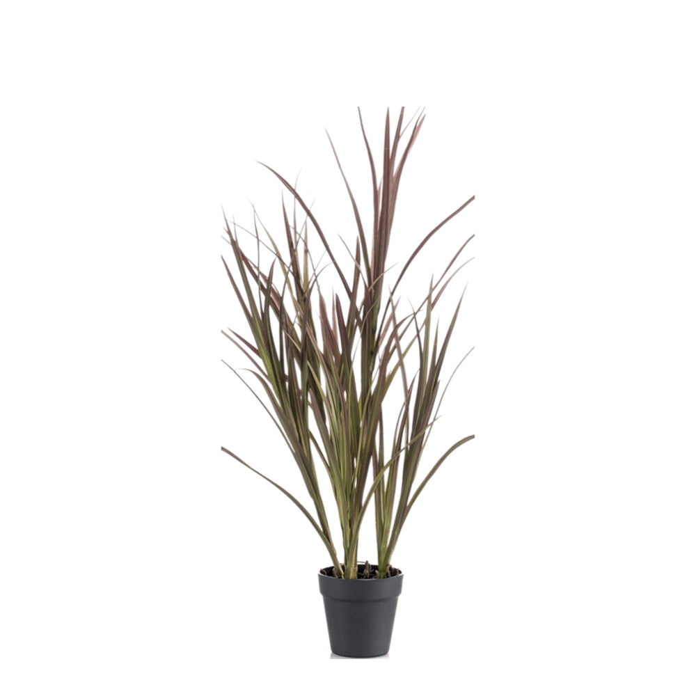 WELO Gras Burgundy