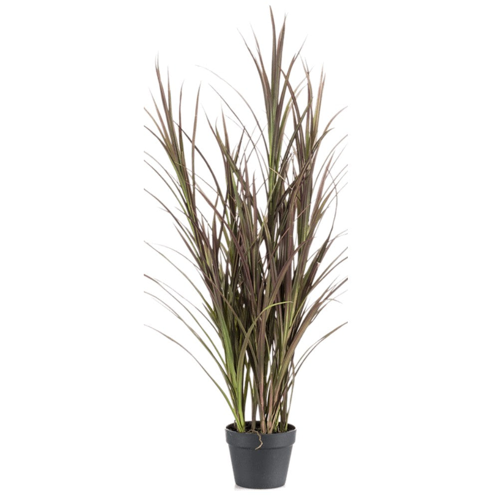 WELO Gras Burgundy