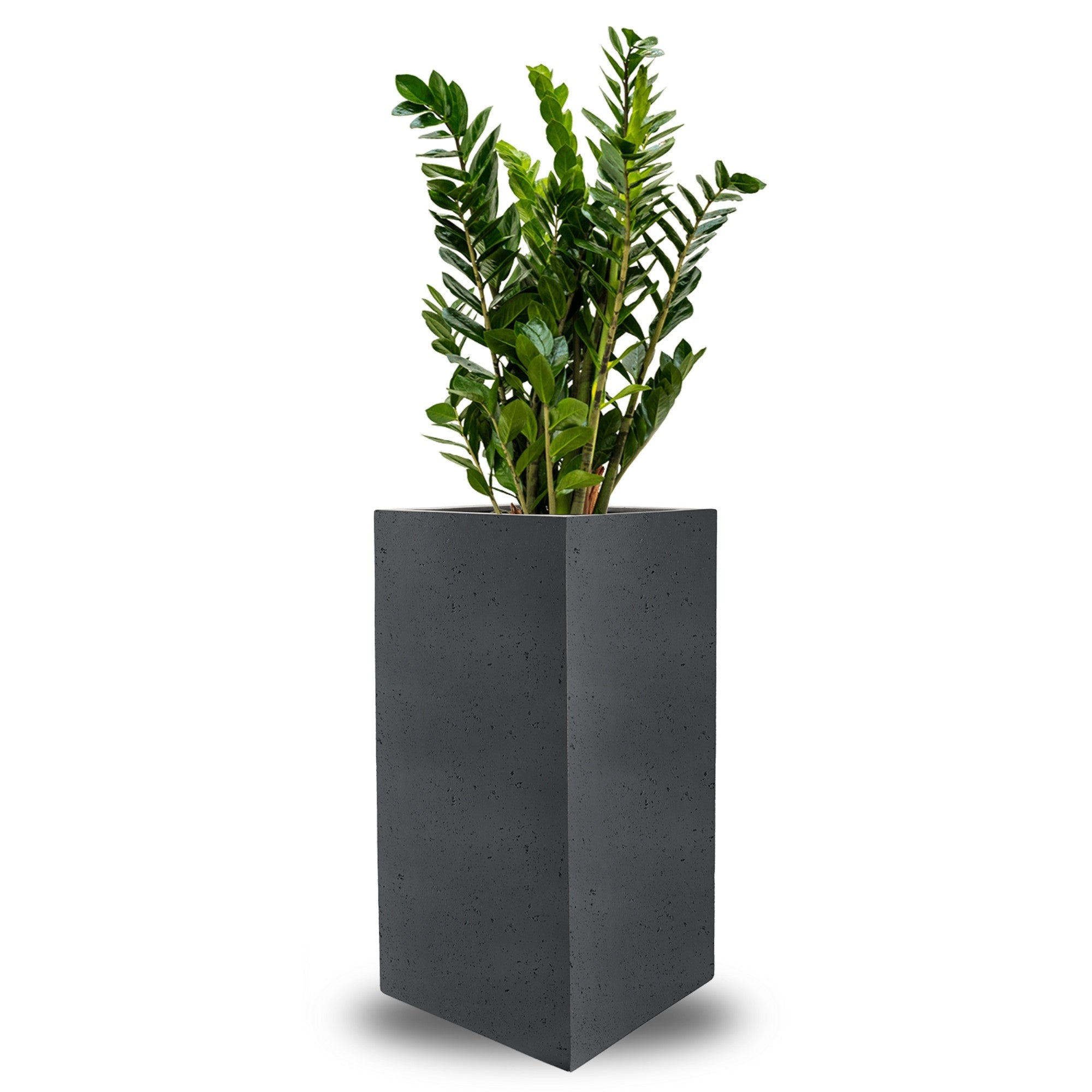 Concrete High Cube