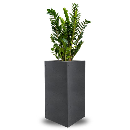 Concrete High Cube