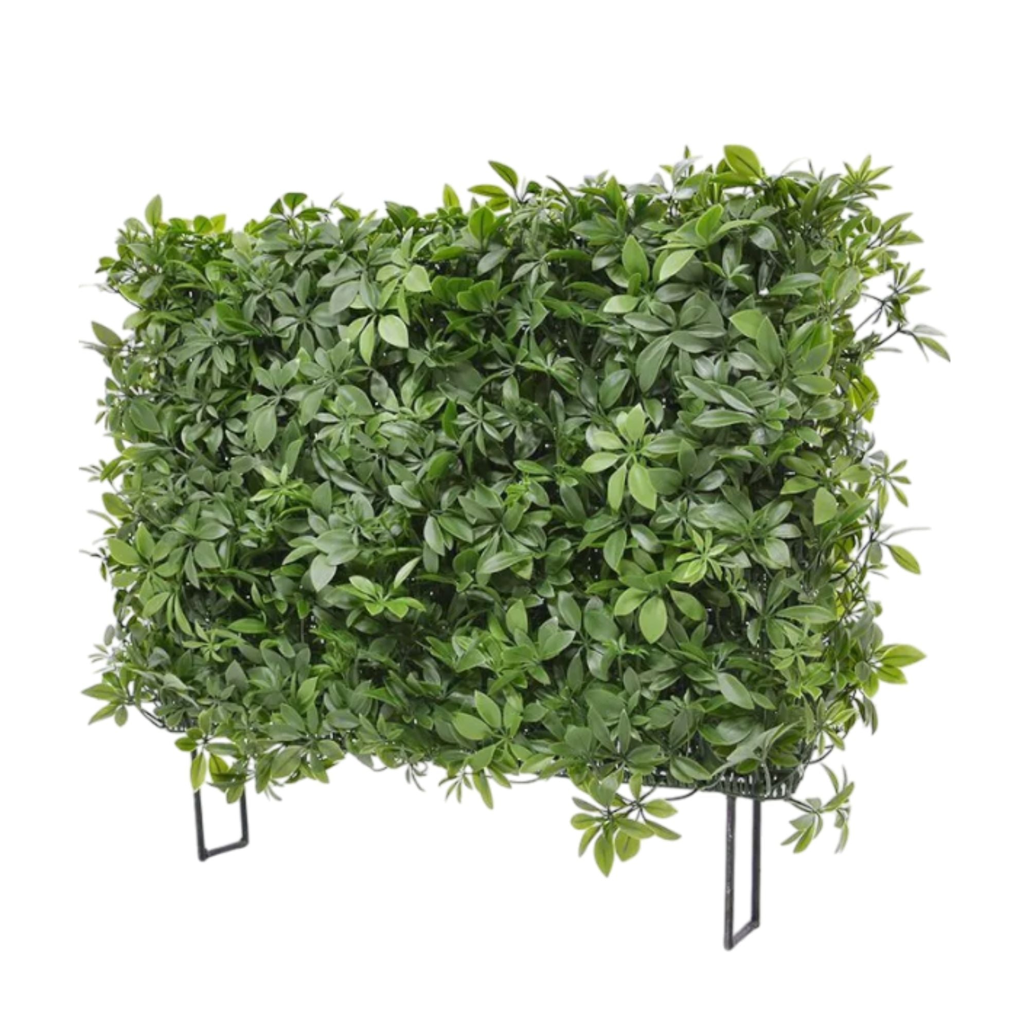 WELO Kunstpflanzenhecke - Schefflera