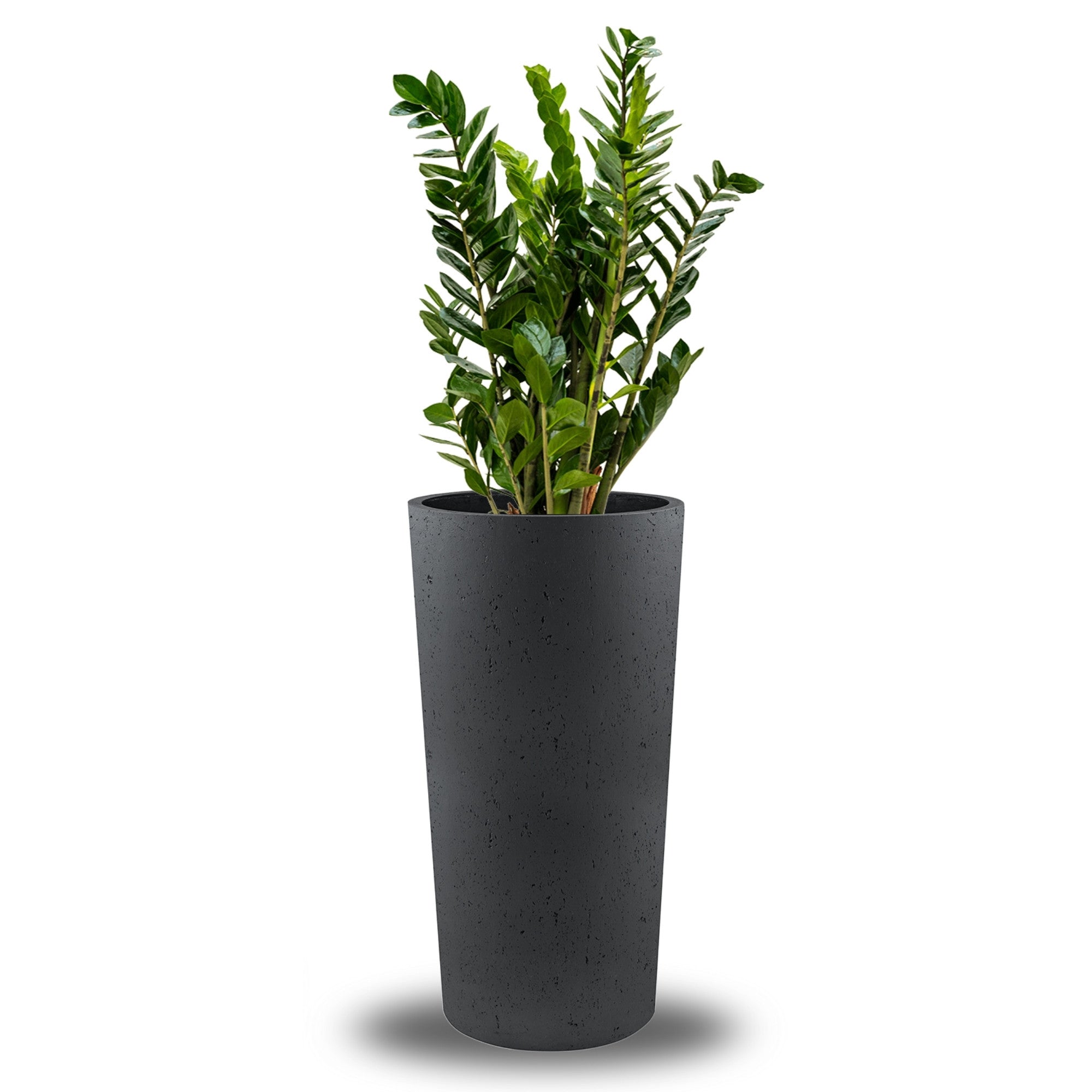 Concrete Vase