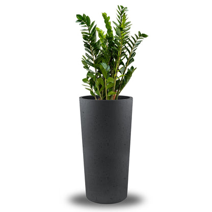 Concrete Vase