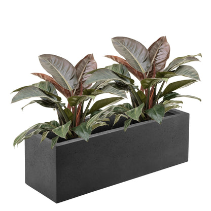 Concrete Box