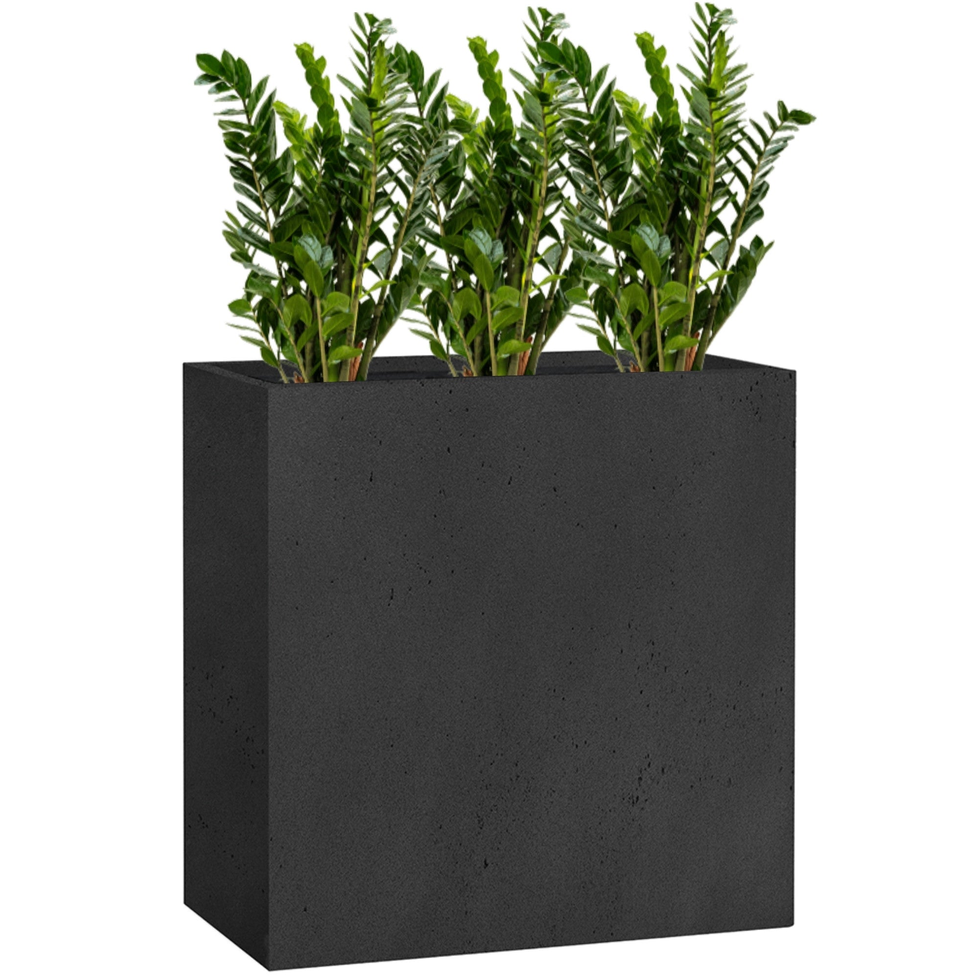 Concrete Divider