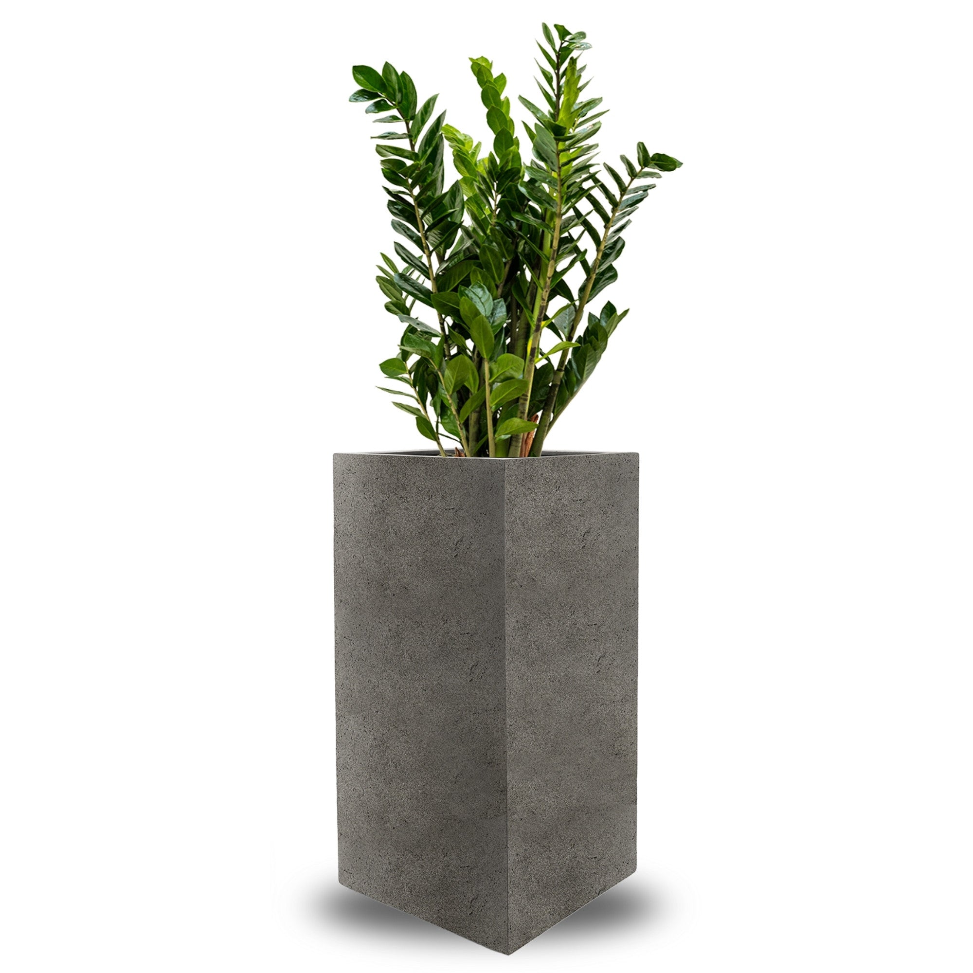 Concrete High Cube