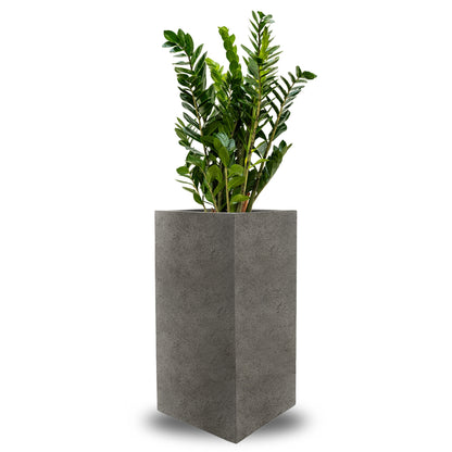 Concrete High Cube