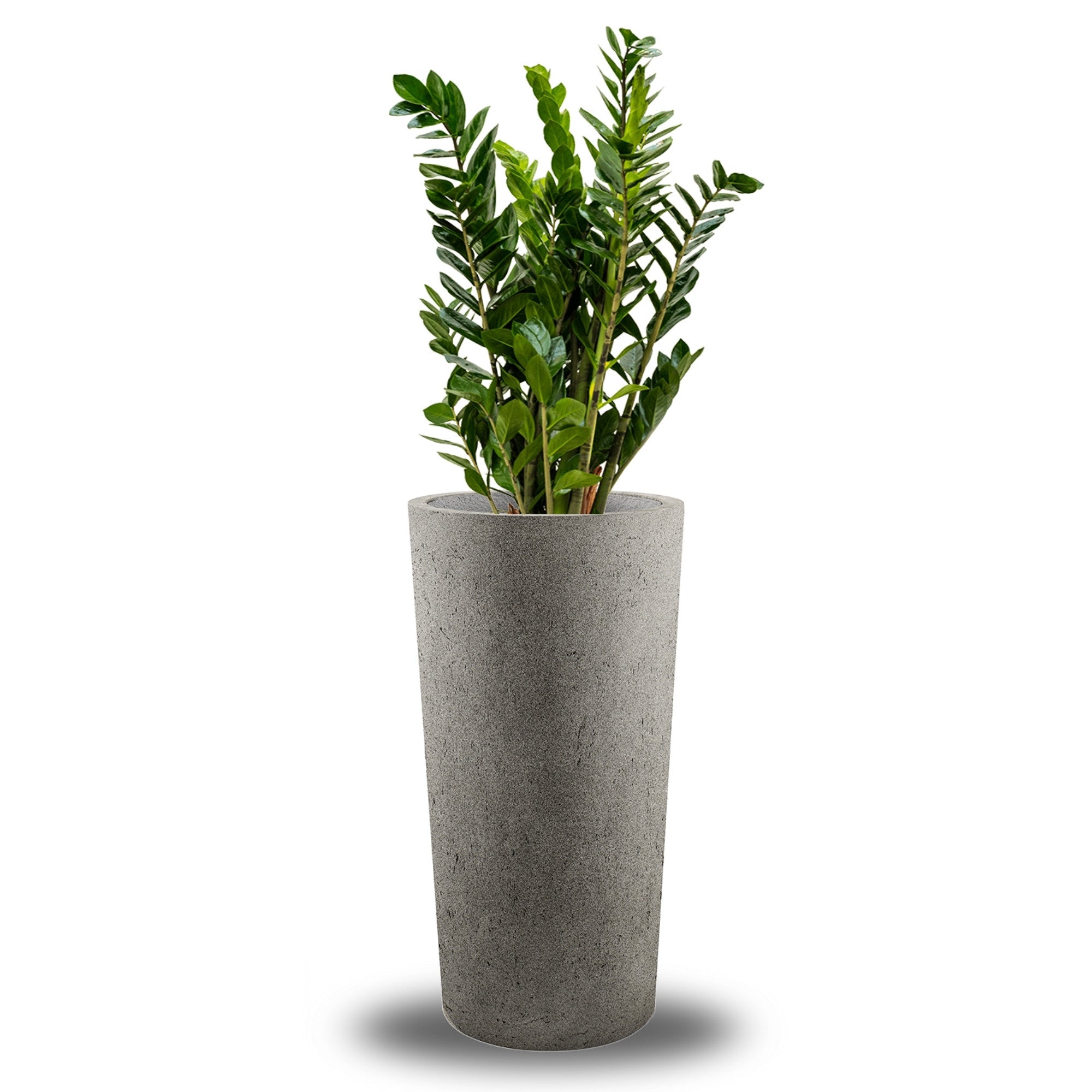 Concrete Vase