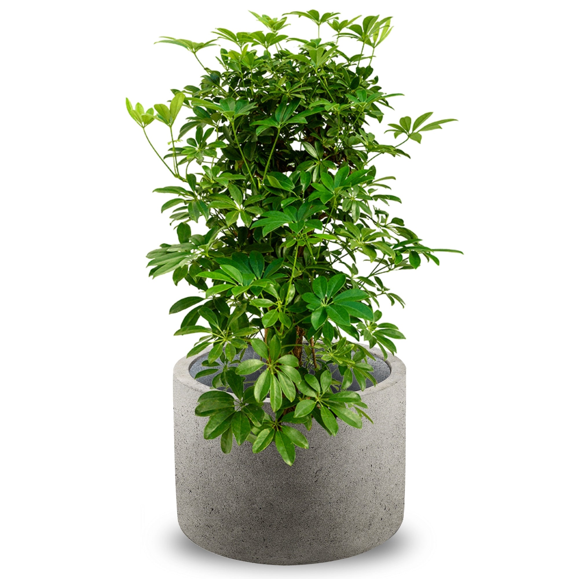 Concrete Cylinder