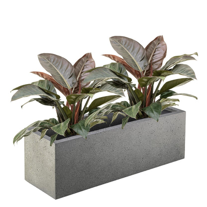 Concrete Box