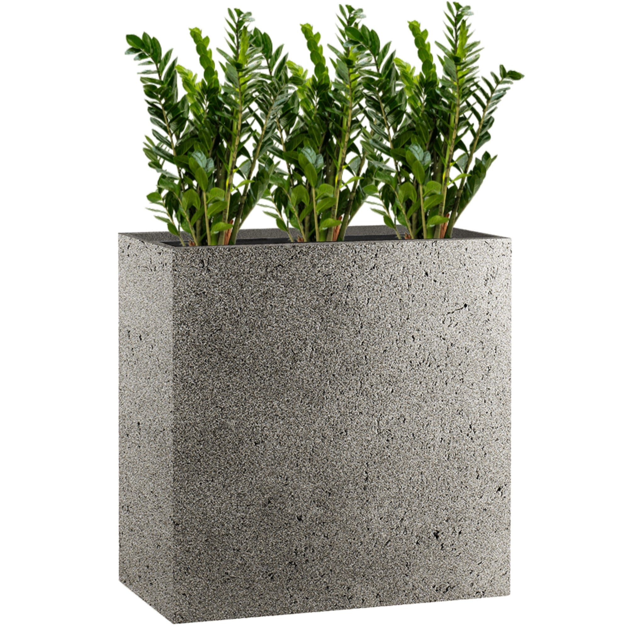 Concrete Divider