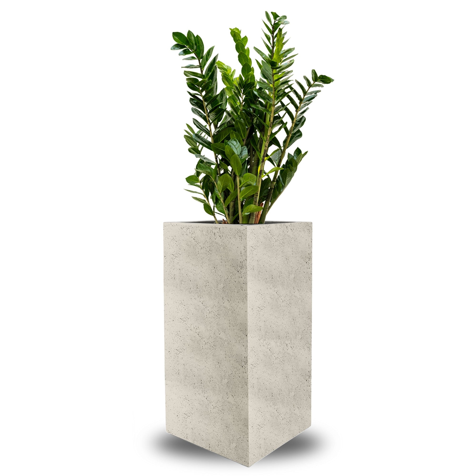 Concrete High Cube