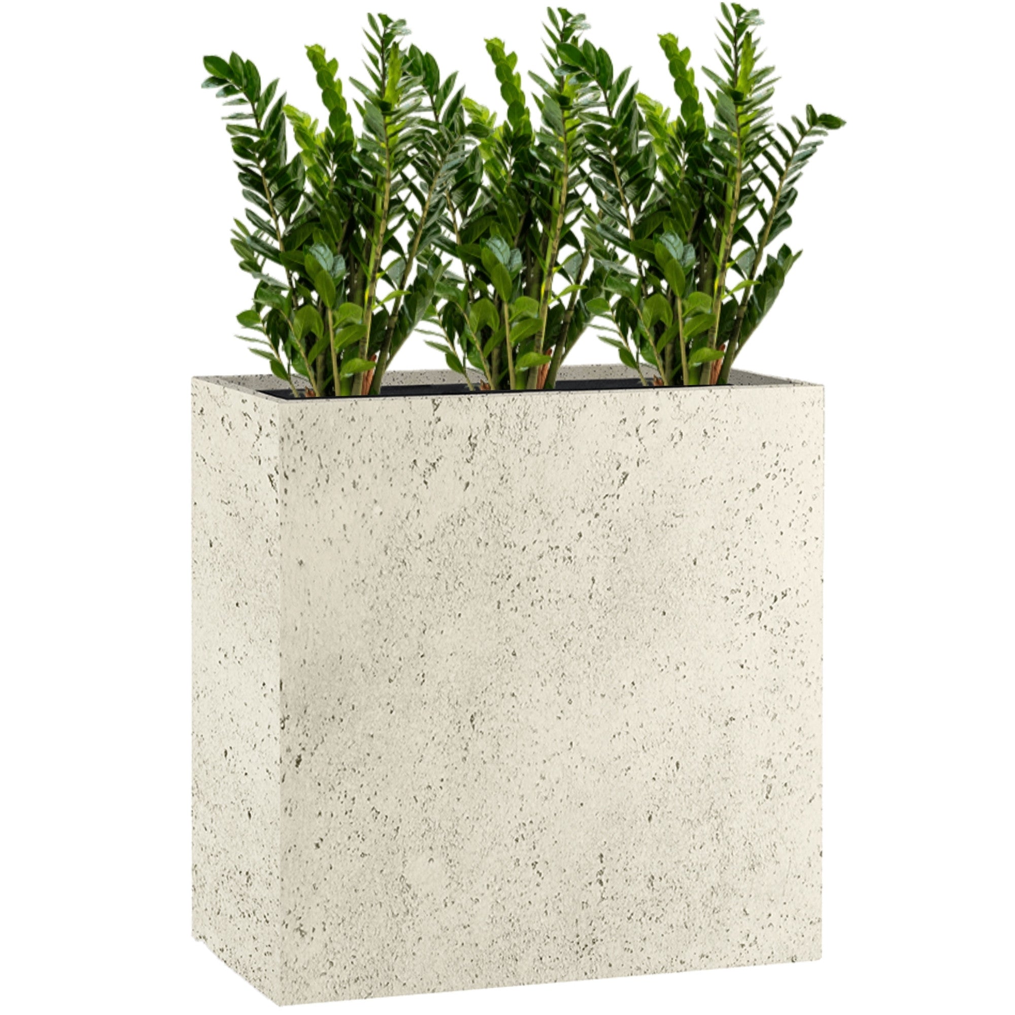 Concrete Divider