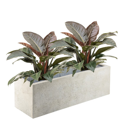 Concrete Box