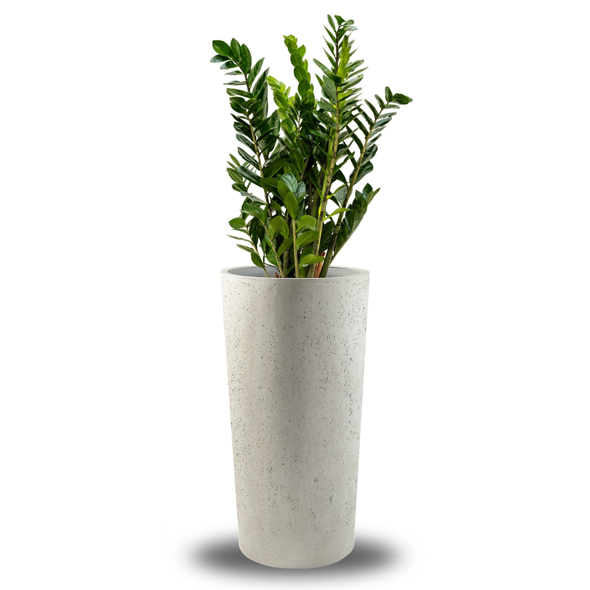 Concrete Vase